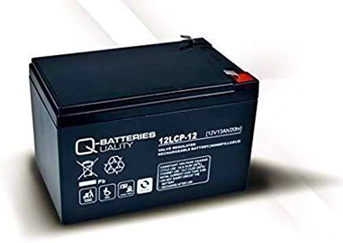 Batería Qbatteries 12LCP-12 Agm Deep Cycle Battery