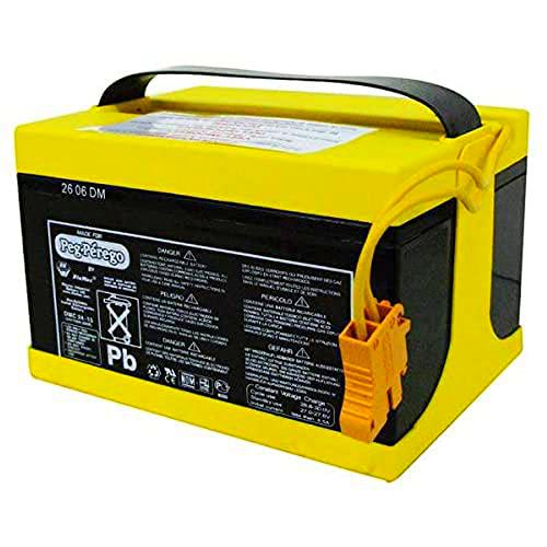 Peg Perego Batería de 24 V, 8 Ah NO Compatible con VEHÍCULOS ELÉCTRICOS con BATERÍAS DE Litio
