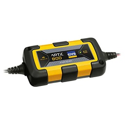 GYS 029682 Artic 800 - Cargador de batería para Motocicleta