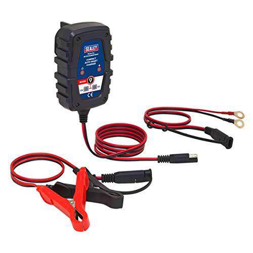 Sealey AUTOCHARGE100HF - Cargador Inteligente para Coche (1 A, 6/12 V)